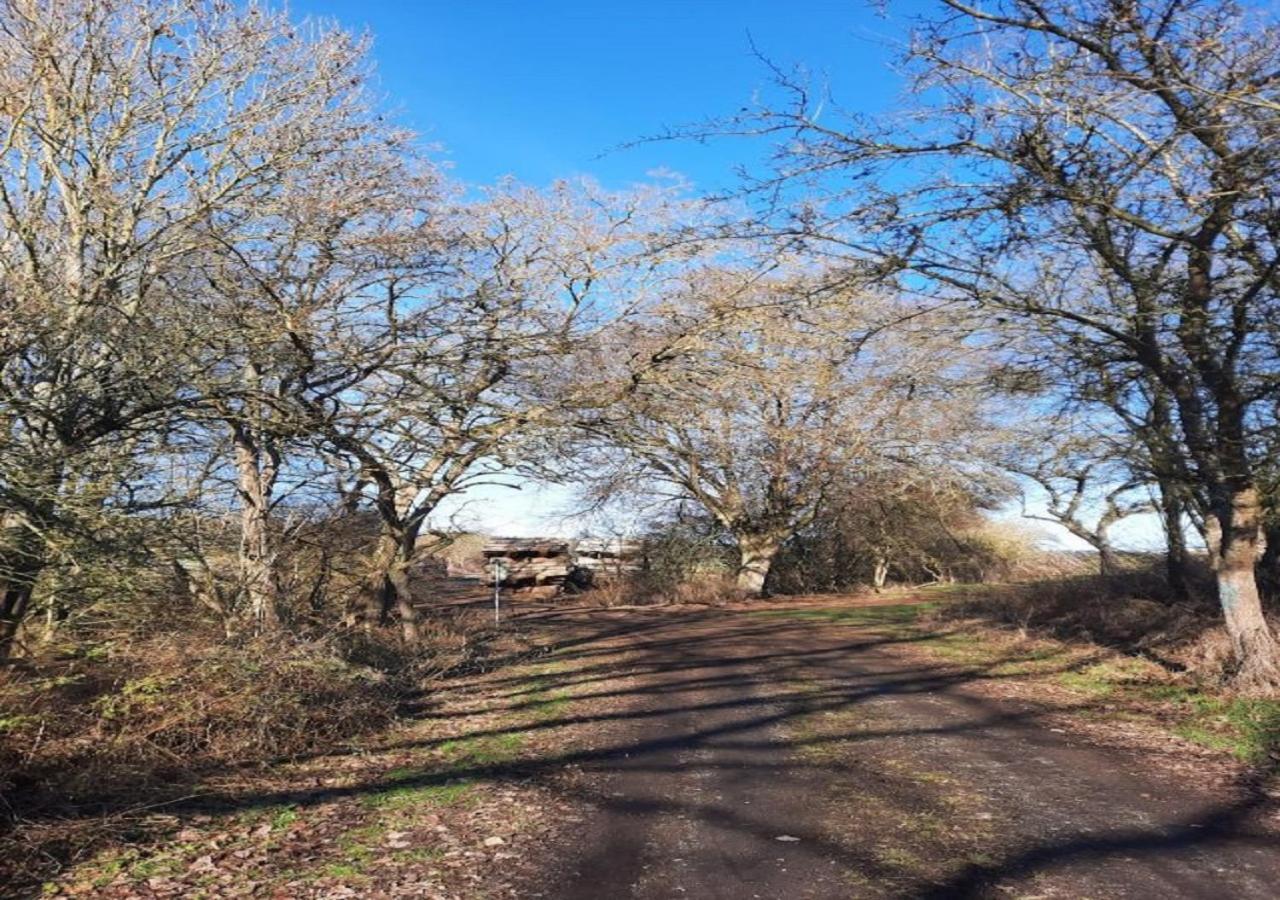 Exklusive Naturoase Direkt Am Ars Natura Wanderweg Mit Panoramablick Auf Melsungen Apartment Exterior photo